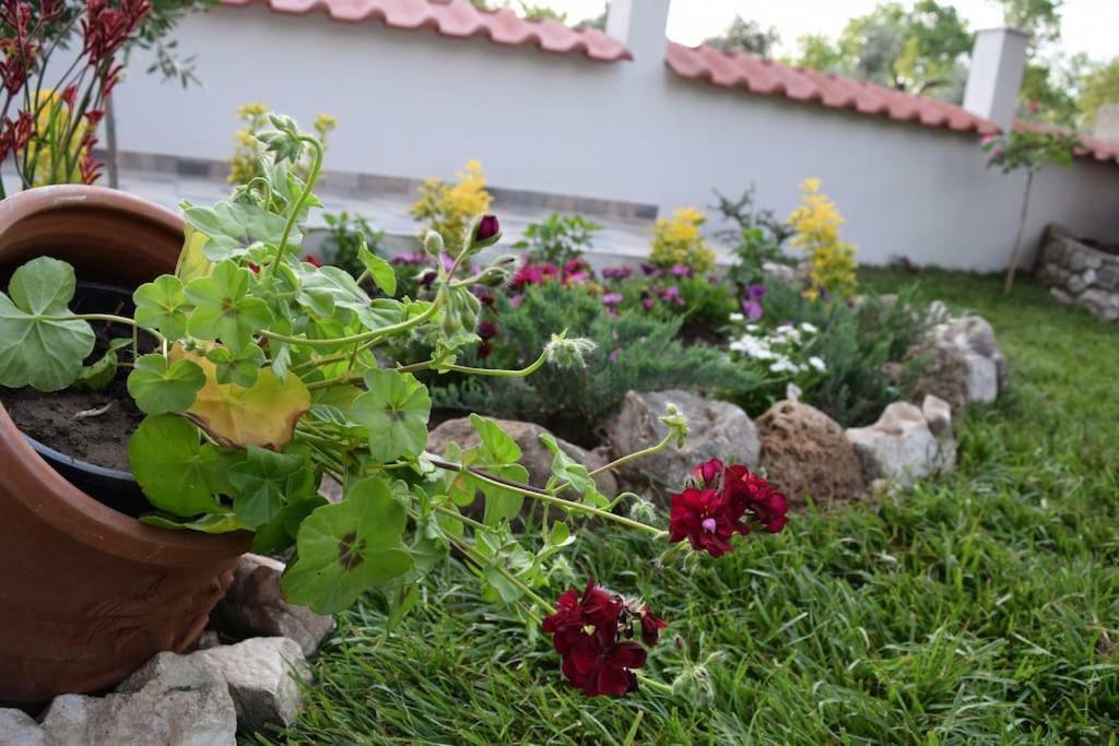 Tsafas Αpartments Limenas (Thasos) Exterior foto